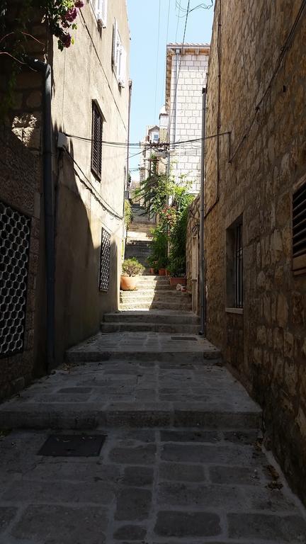 Apartment Previsic Cavtat